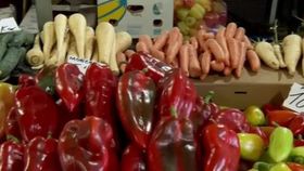 VIDEO Recolta de toamnă, puțină și scumpă. Producătorii au cheltuit sume mari pentru a face față secetei